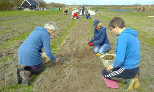 tuin-naast-de-branding-1