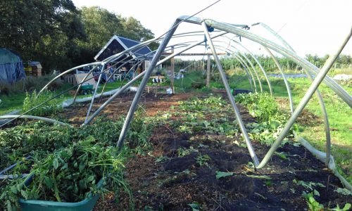 tuin-naast-de-branding-na-de-windhoos tuin-naast-de-branding-na-de-windhoos