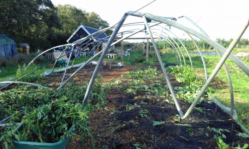 tuin-naast-de-branding-na-de-windhoos